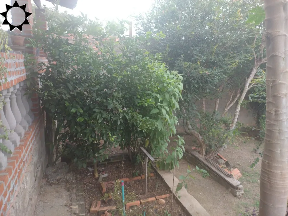 Chácara, 3 quartos, 1545 m² - Foto 5
