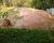 Terreno, 800 m² - Foto 4