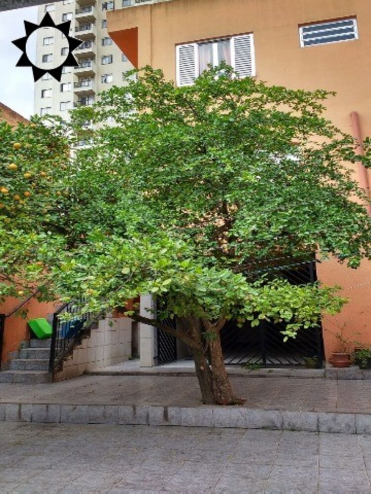 Casa à venda com 3 quartos, 229m² - Foto 7