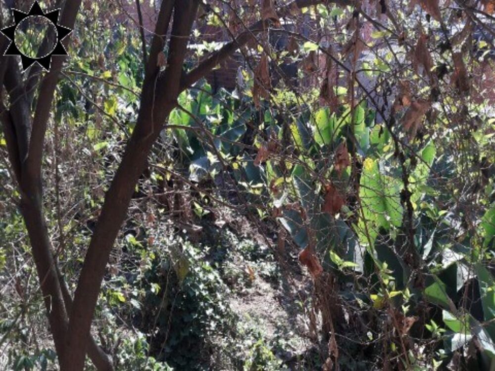 Loteamento e Condomínio, 1387 m² - Foto 5