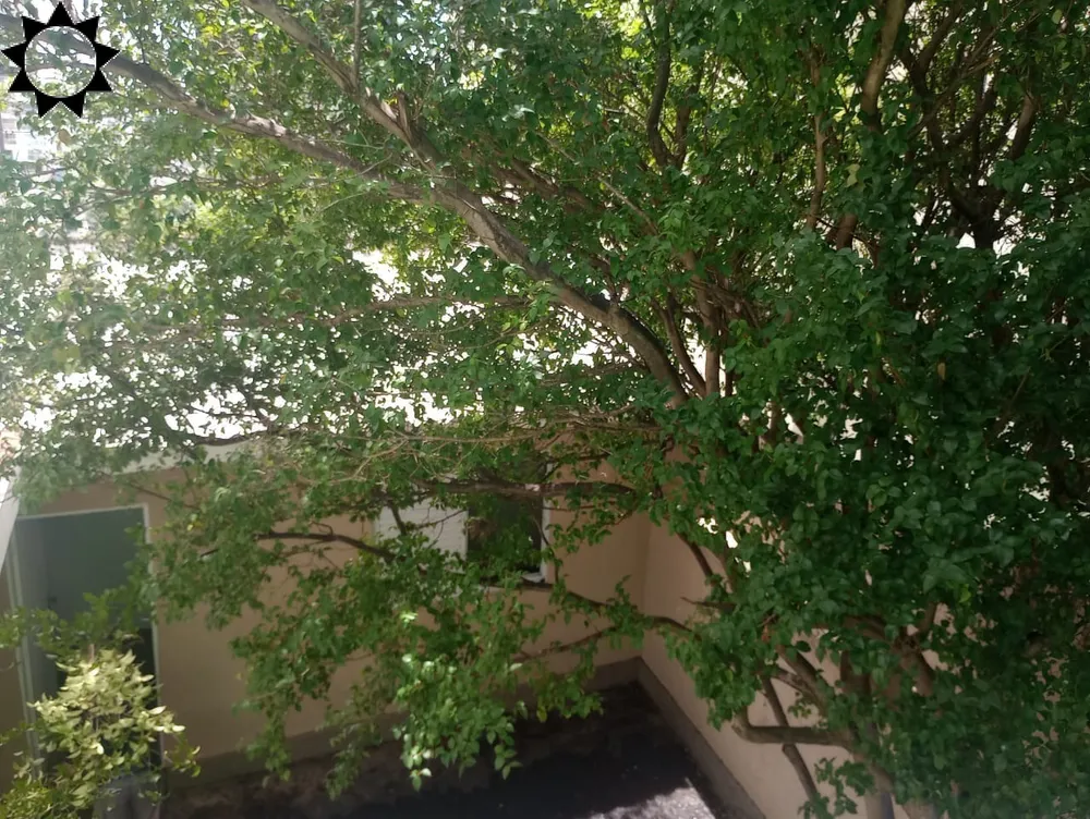 Casa, 3 quartos, 137 m² - Foto 3