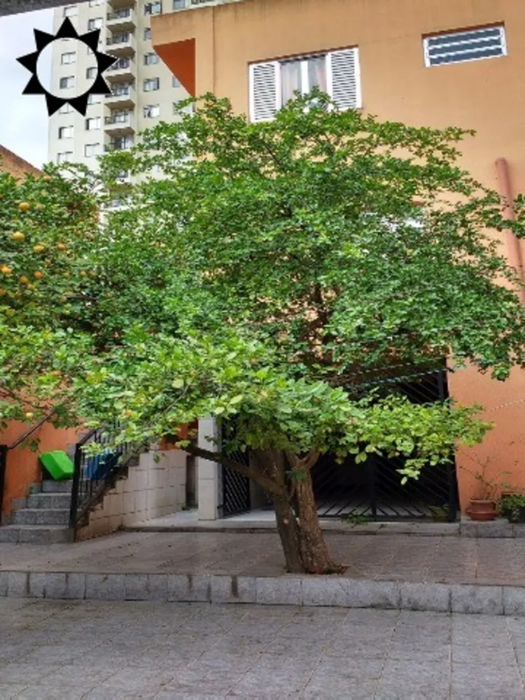 Casa, 3 quartos, 229 m² - Foto 11