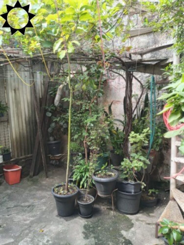 Casa, 5 quartos, 130 m² - Foto 8