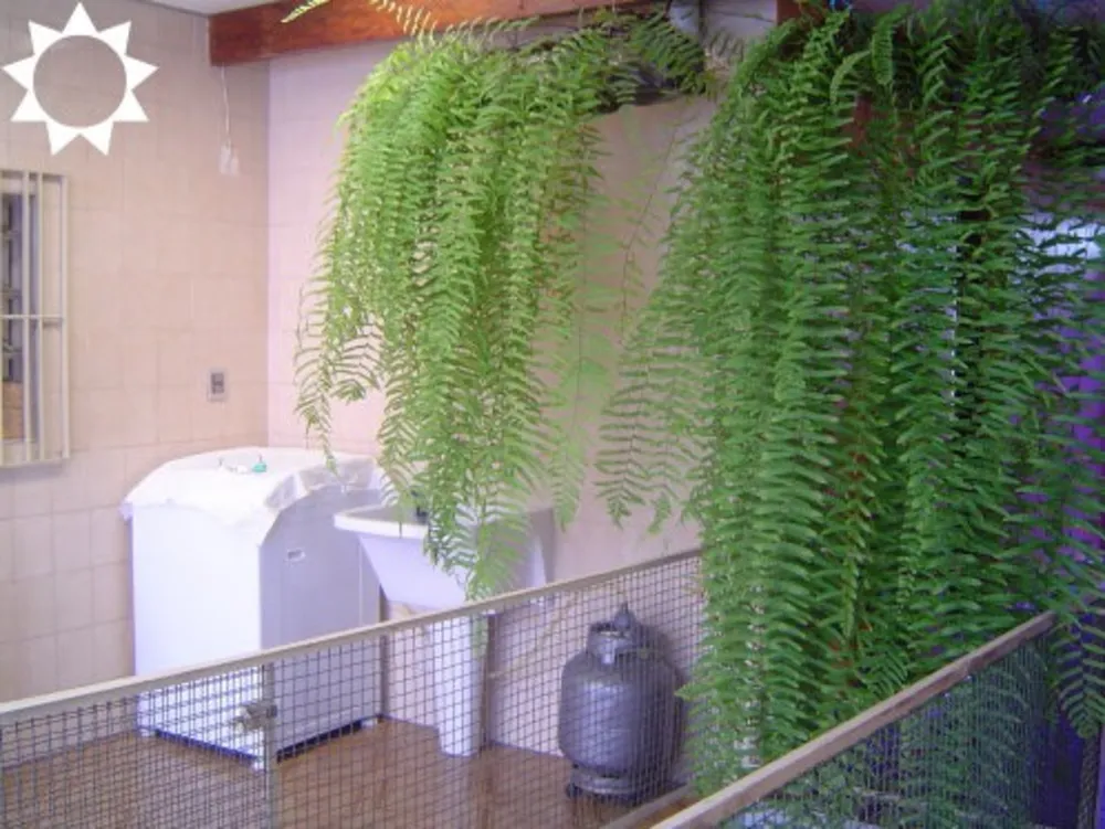 Casa, 3 quartos, 345 m² - Foto 2
