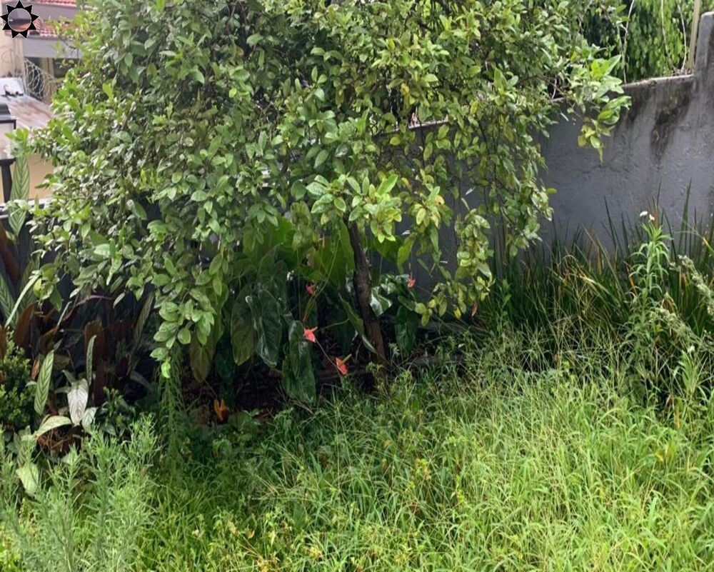 Prédio Inteiro, 295 m² - Foto 21