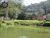 Chácara, 4 quartos, 4 hectares - Foto 1