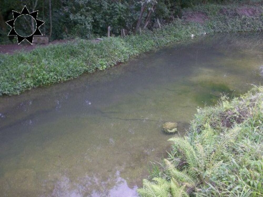 Chácara, 3 quartos, 200 m² - Foto 4