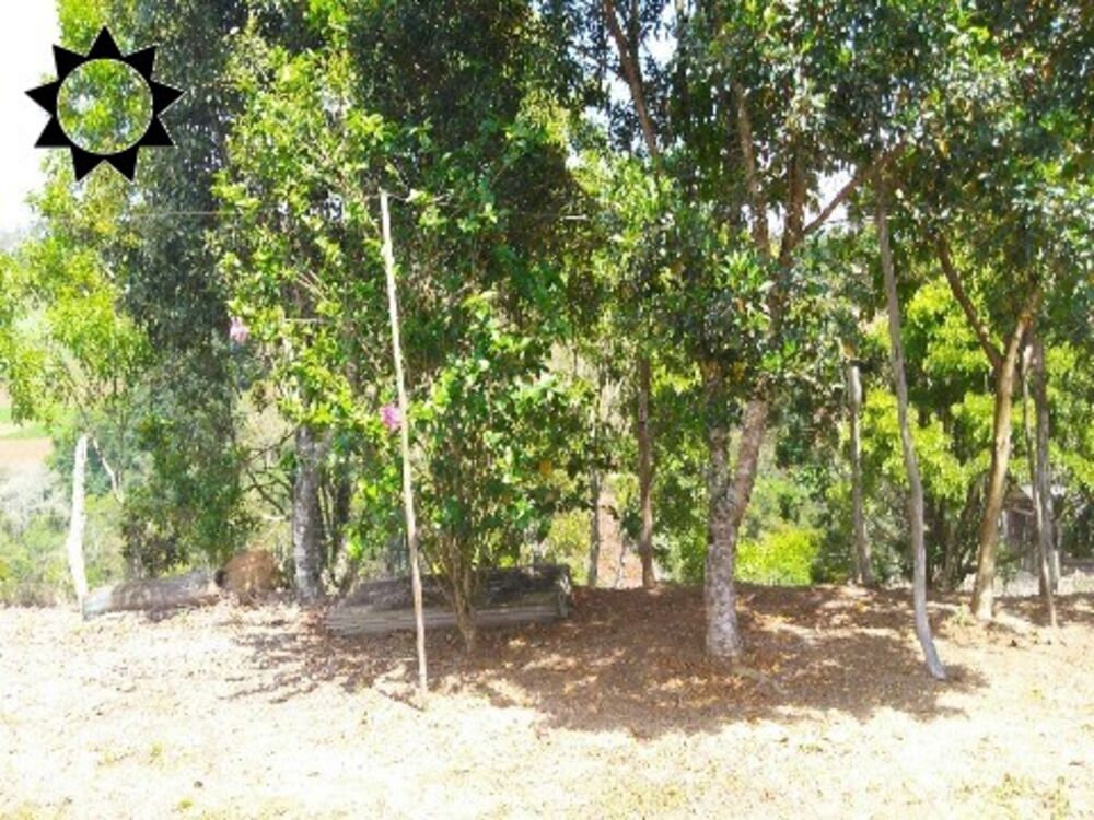 Chácara, 3 quartos, 200 m² - Foto 15