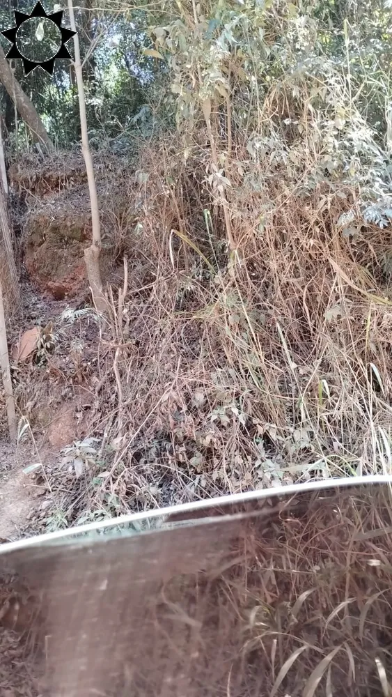 Terreno, 5000 m² - Foto 7