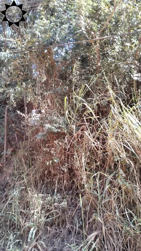 Terreno, 5000 m² - Foto 6