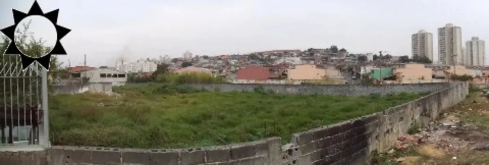 Terreno - Foto 3