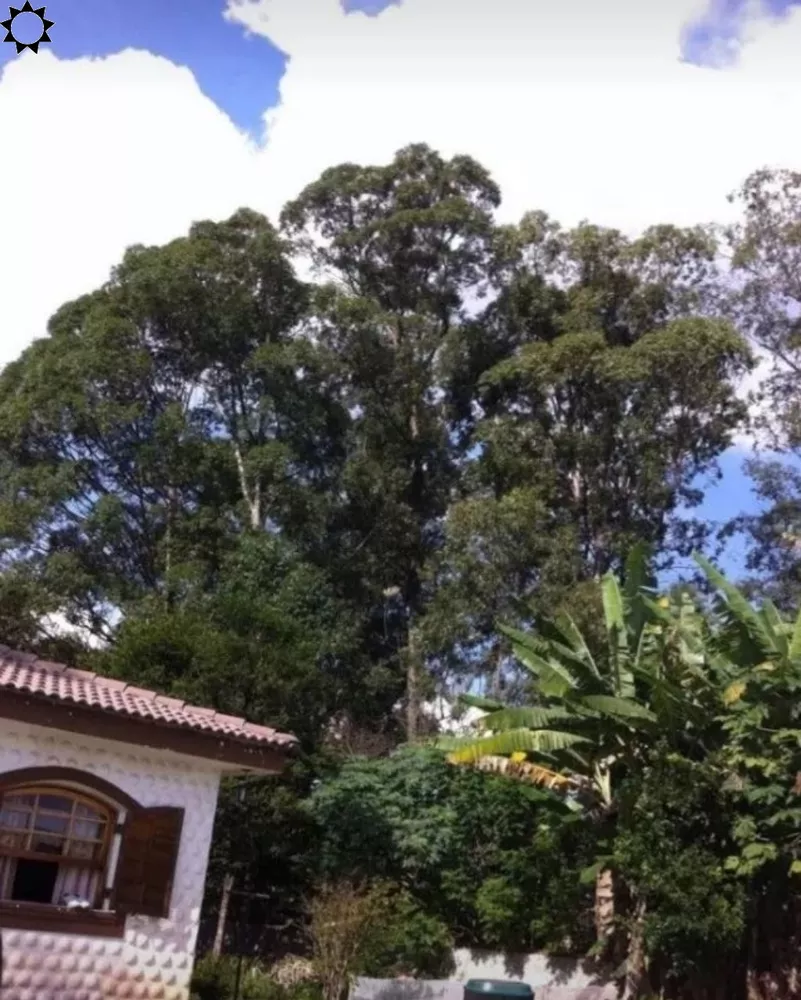 Chácara, 6 quartos, 2000 m² - Foto 12