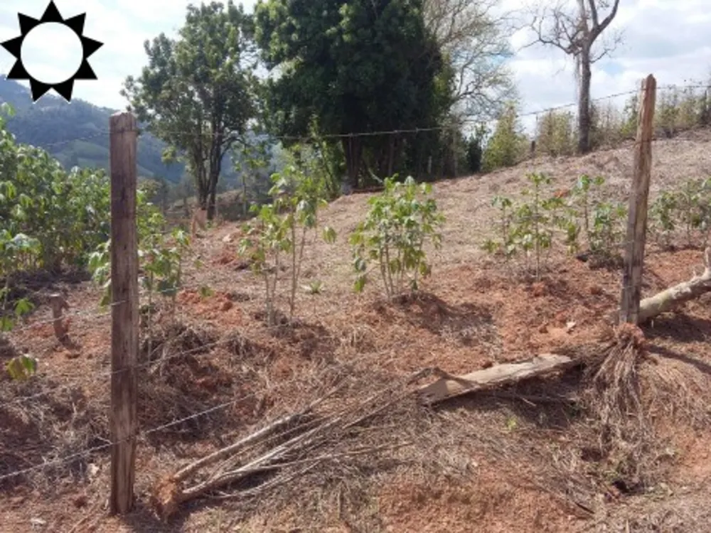 Terreno, 491 m² - Foto 8