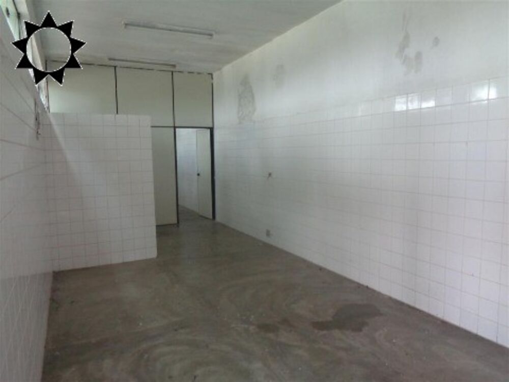 Depósito-Galpão, 10600 m² - Foto 10
