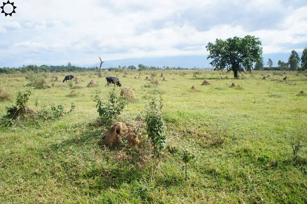 Loteamento e Condomínio, 80 hectares - Foto 2