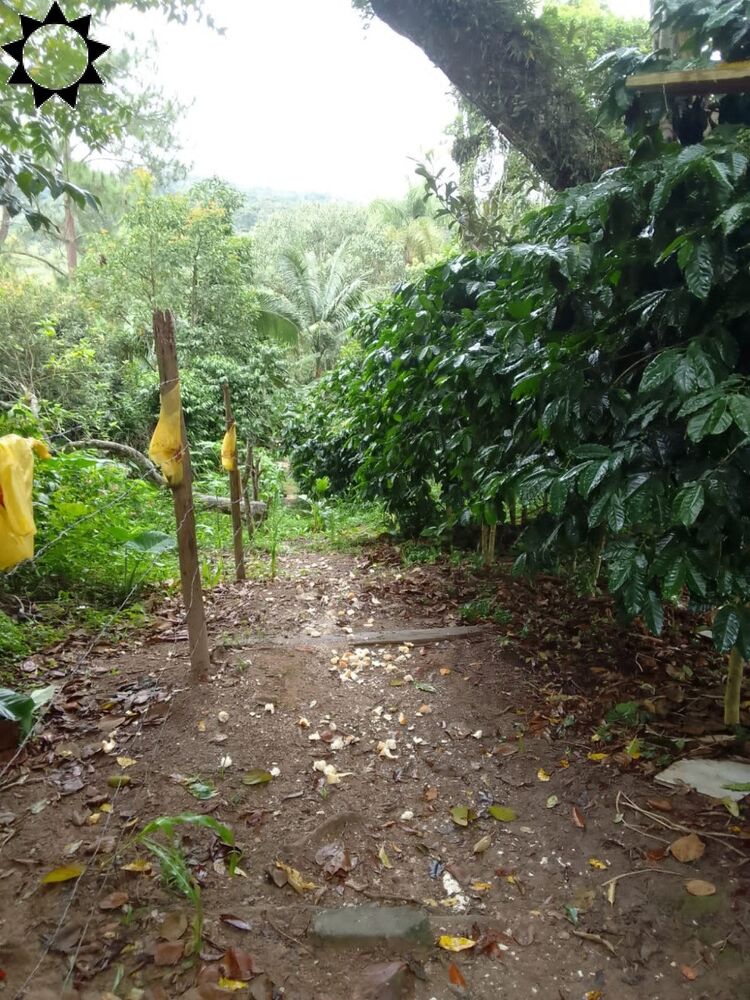 Chácara, 1 quarto, 2000 m² - Foto 3