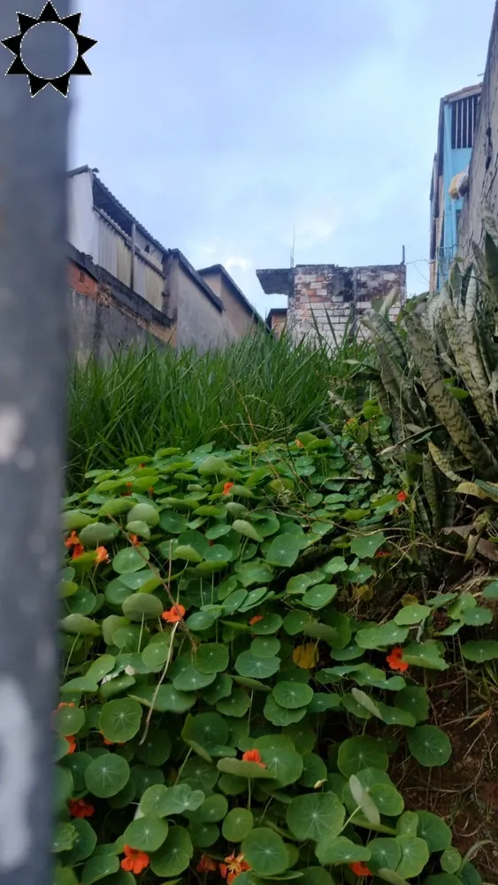 Terreno, 125 m² - Foto 4