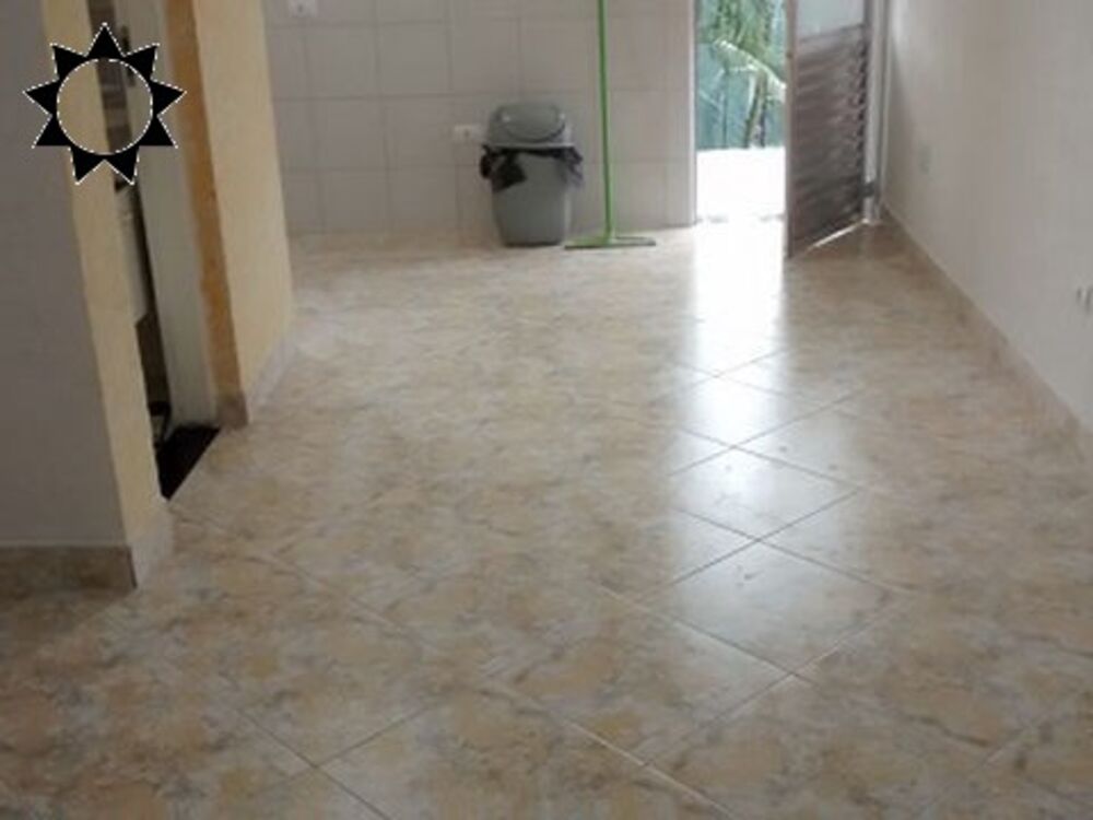 Casa, 6 quartos, 350 m² - Foto 4