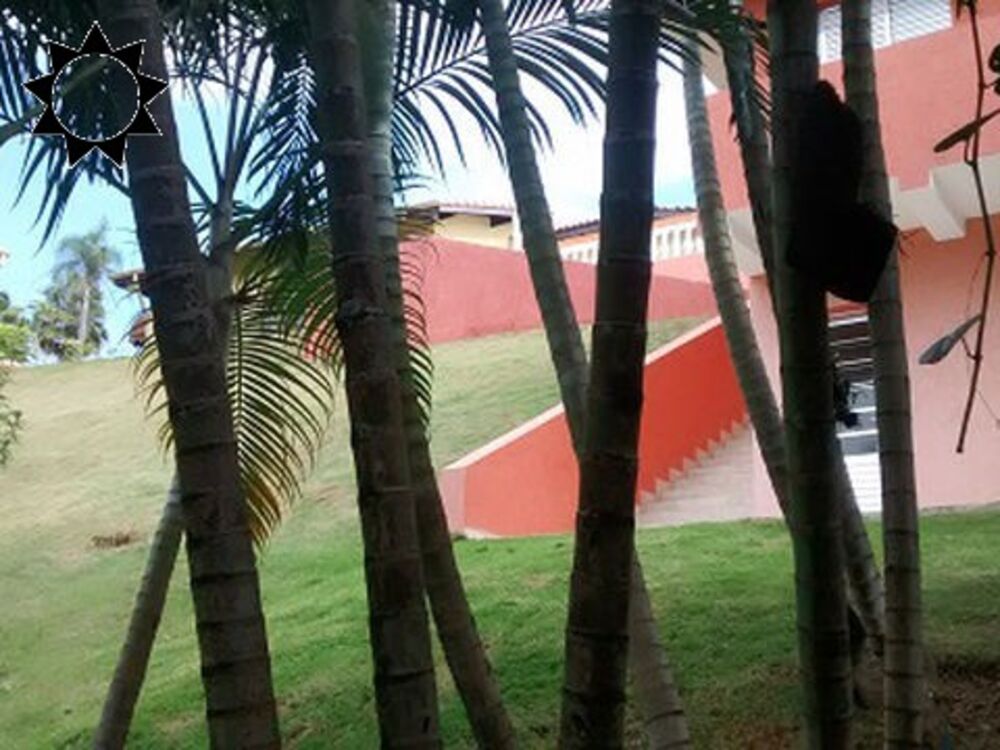 Casa, 6 quartos, 350 m² - Foto 3