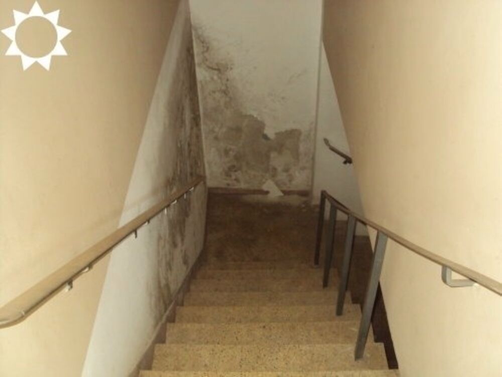 Casa, 3 quartos, 437 m² - Foto 5