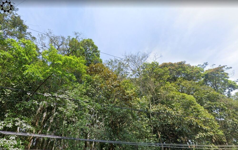 Sítio, 1 quarto, 1000 m² - Foto 1