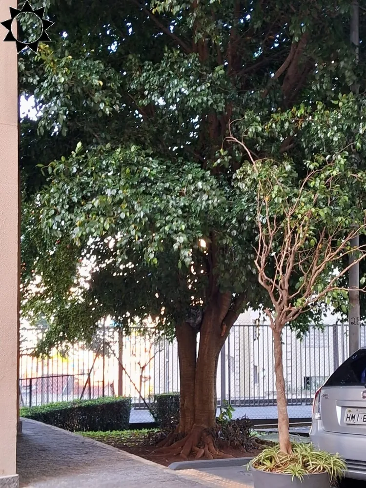 Apartamento, 2 quartos, 61 m² - Foto 1