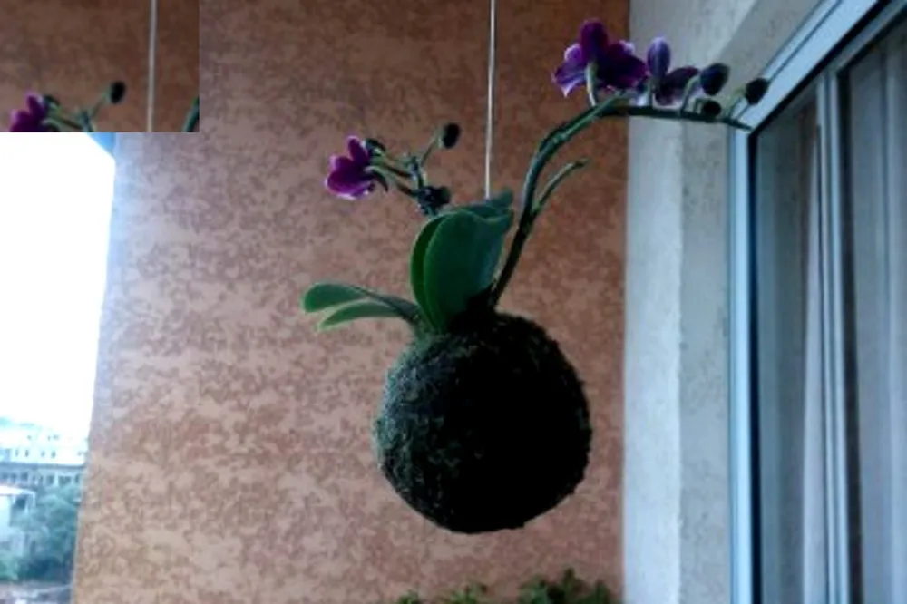 Apartamento, 2 quartos, 51 m² - Foto 6