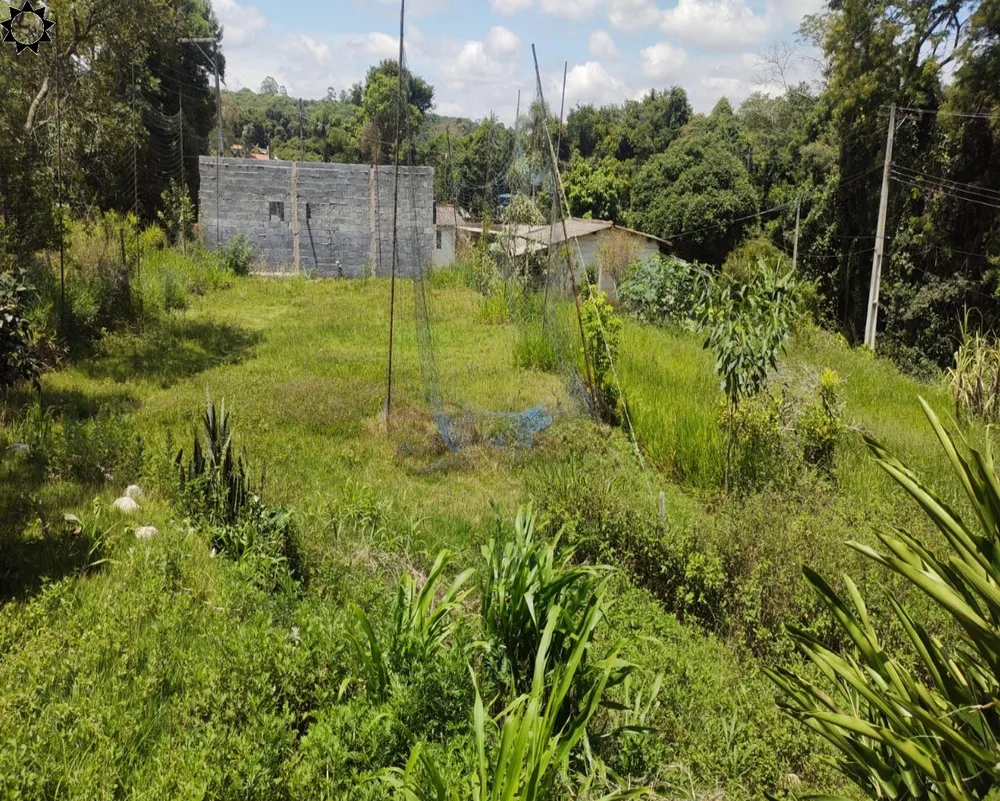 Chácara, 2 quartos, 3850 m² - Foto 1