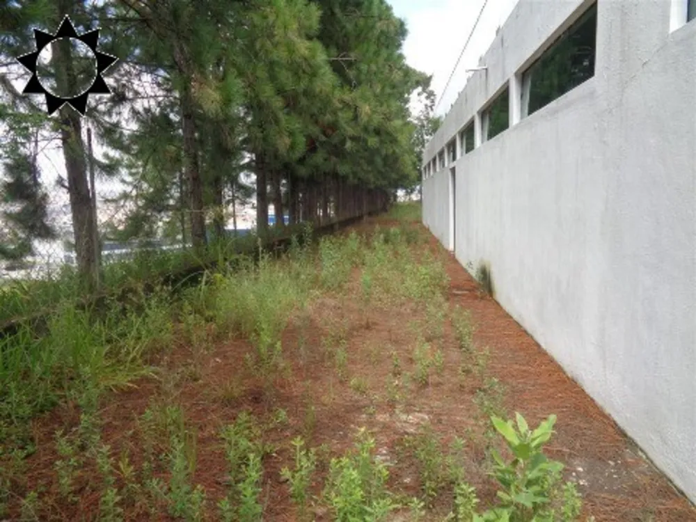 Depósito-Galpão, 10600 m² - Foto 7