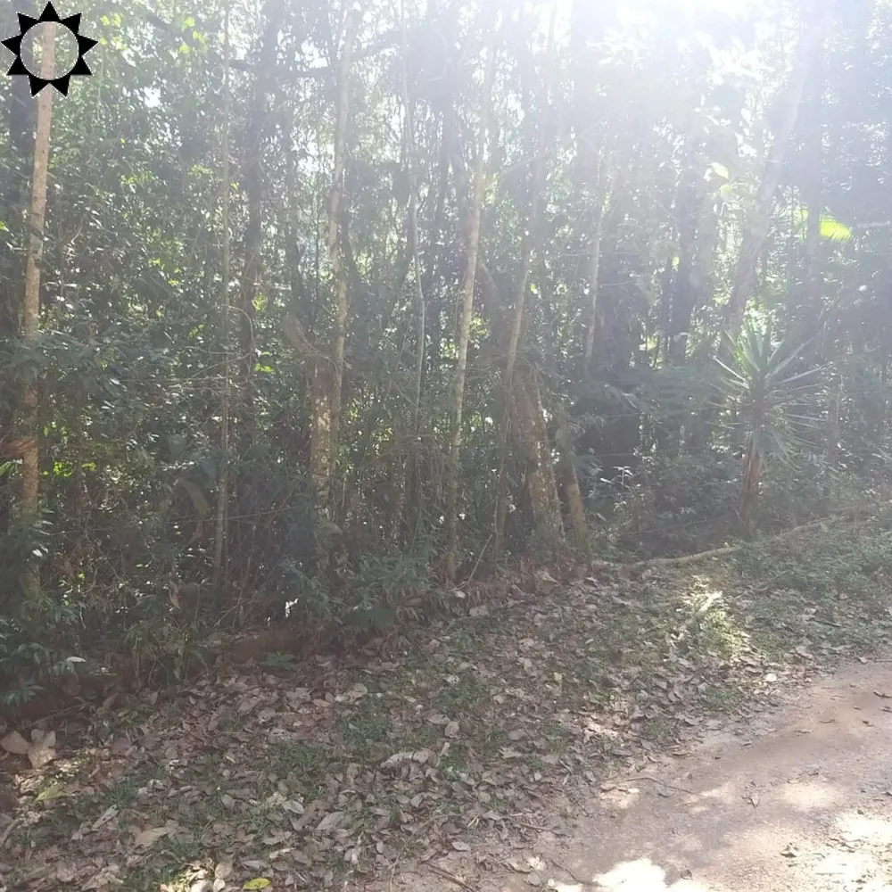 Chácara, 1 quarto, 4640 m² - Foto 3