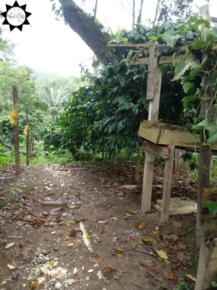 Chácara, 1 quarto, 2000 m² - Foto 2