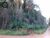 Terreno, 2350 m² - Foto 1