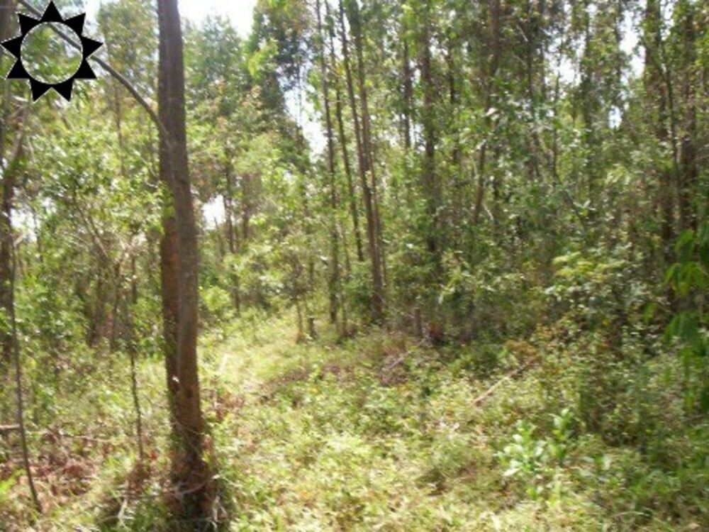 Loteamento e Condomínio, 30 hectares - Foto 4