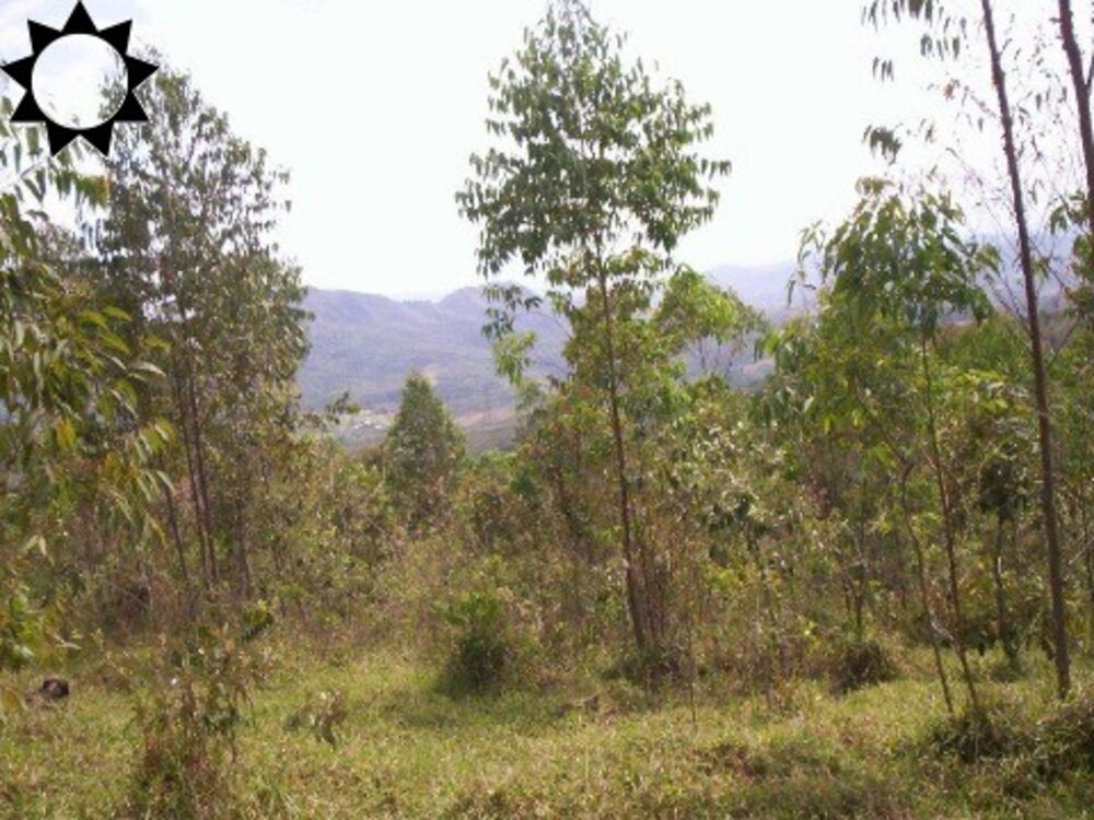 Loteamento e Condomínio, 30 hectares - Foto 2