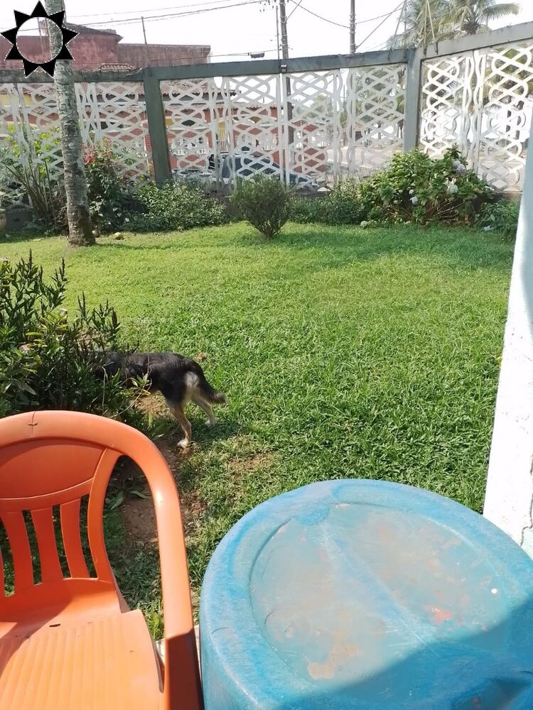 Casa, 3 quartos, 105 m² - Foto 20