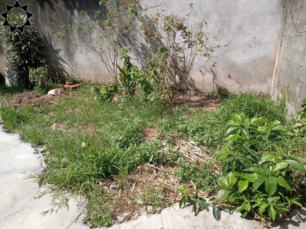 Prédio Inteiro, 281 m² - Foto 4