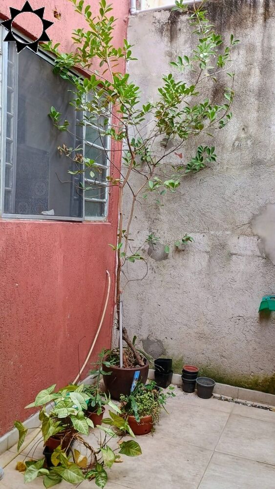 Casa, 4 quartos, 100 m² - Foto 6