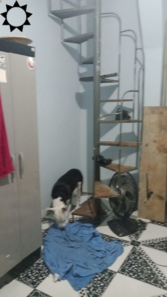 Casa, 3 quartos, 155 m² - Foto 7