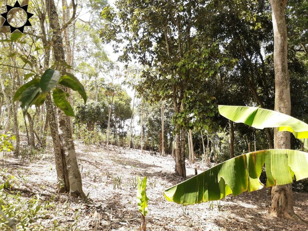 Terreno, 1 hectares - Foto 2