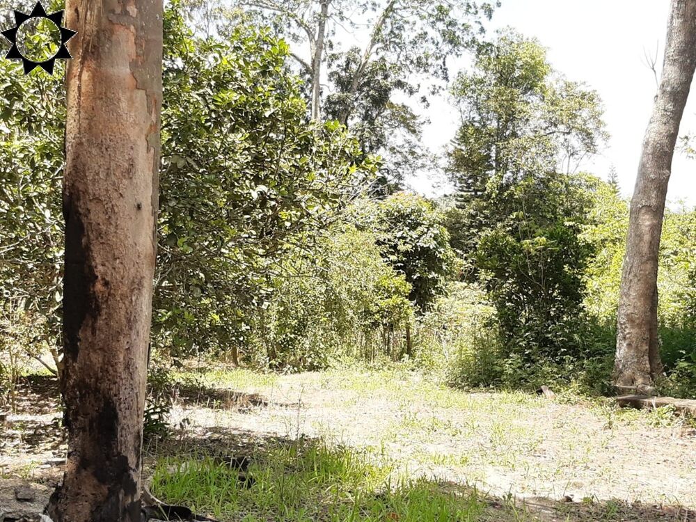 Terreno, 1 hectares - Foto 1