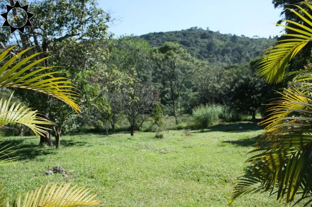 Sítio, 3 quartos, 4 hectares - Foto 3