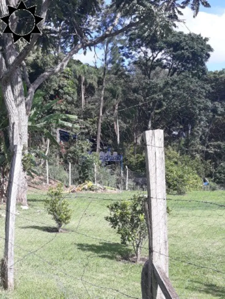 Sítio, 2 quartos, 3832 m² - Foto 1