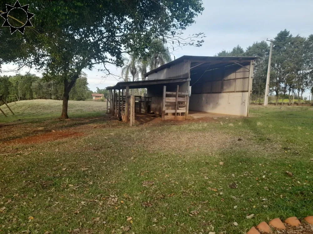 Chácara, 4 quartos, 10000 m² - Foto 11