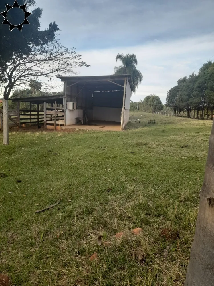 Chácara, 4 quartos, 10000 m² - Foto 5