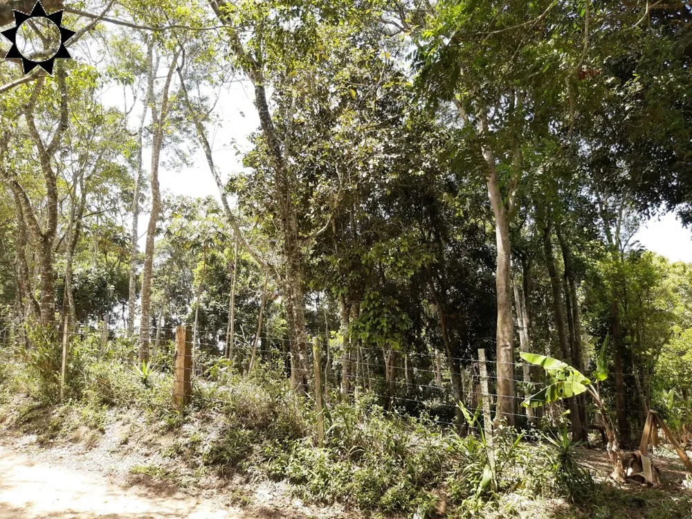 Terreno, 1 hectares - Foto 7