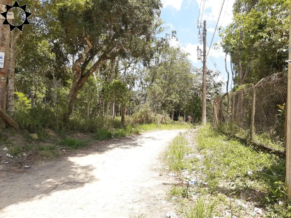 Terreno, 1 hectares - Foto 8