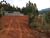 Terreno, 900 m² - Foto 2
