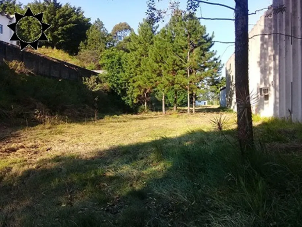 Depósito-Galpão, 11800 m² - Foto 6