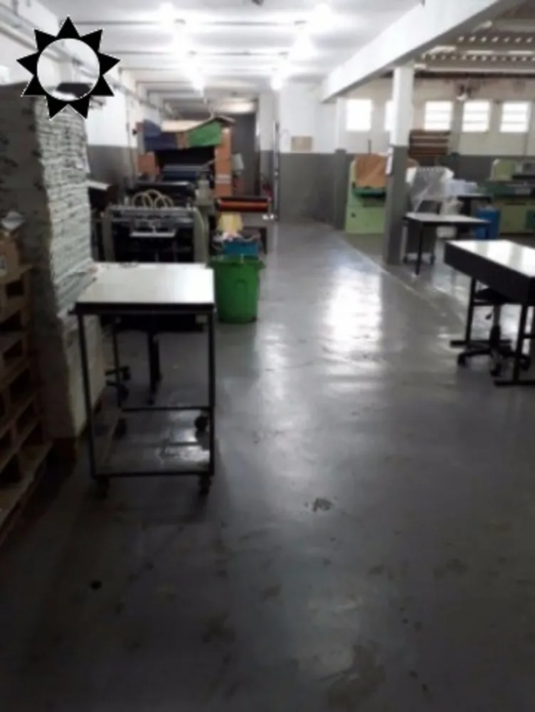 Casa, 5 quartos, 900 m² - Foto 4