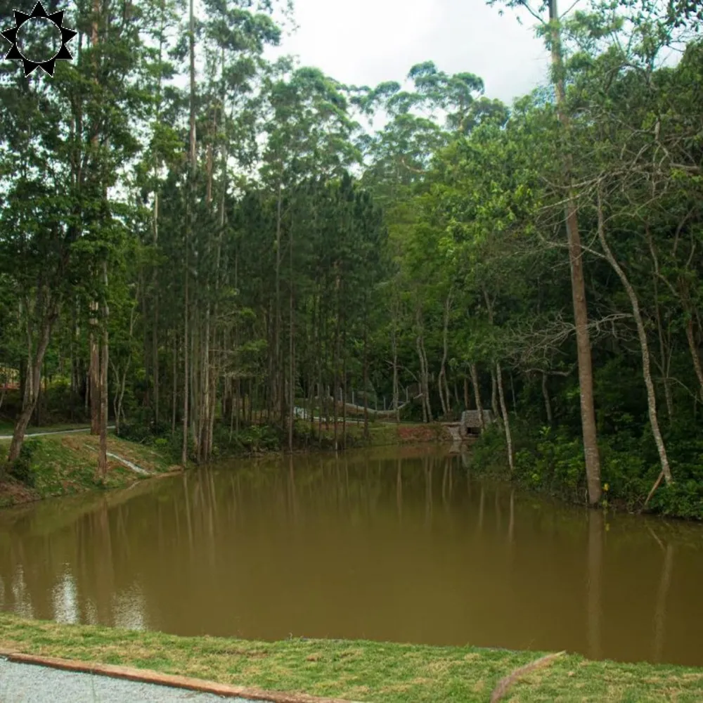 Terreno, 500 m² - Foto 5